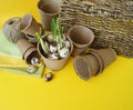 Easter decorative composition on a yellow background.Nest with quail eggs.