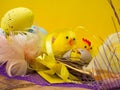 Easter decorative composition with yellow chickens nest, color eggs and colorful feathers on wooden board