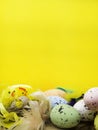 Easter decorative composition with yellow chickens nest, color eggs and colorful feathers on wooden board