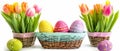 Easter Delight: Vibrant Eggs and Tulips in White Isolation