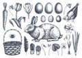 Easter design elements collection. Spring flowers, eggs and rabbit hand-drawings. Hand-sketched spring plants, birds and animals