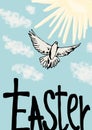 Easter dove