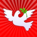 Easter dove with olive branch Royalty Free Stock Photo