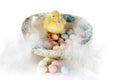 Easter duckling