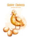 Easter ducky Vector watercolor card. Happy Easter greetings with bud and eggs Royalty Free Stock Photo