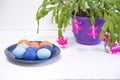 Easter dyed eggs on a blue plate. In the background is a blooming flower on a white table. Concept. Royalty Free Stock Photo