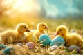 Easter. Easter eggs and yellow ducklings sitting in the grass.