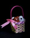 Easter Egg Basket With Soccer & Basketball Eggs