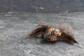 Easter Egg  with bird feather Card Royalty Free Stock Photo
