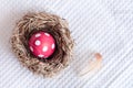 Easter egg in birds nest on checkered white background Royalty Free Stock Photo