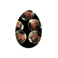 Easter egg - with brown bubbles on black. Falling confetti, isolated on white. Watercolor textured painting with dots.