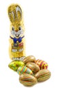 Easter egg bunnie Royalty Free Stock Photo