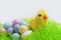 Easter egg candy,chick Royalty Free Stock Photo