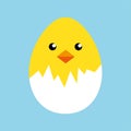 Happy Easter egg chick sign, background vector Royalty Free Stock Photo