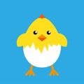 Happy easter egg chick sign, background vector Royalty Free Stock Photo