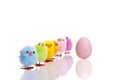 Easter egg and chicks diagonal line Royalty Free Stock Photo