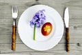 Easter egg colored naturally and blue hyacinth flower on the plate Royalty Free Stock Photo