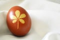 Easter egg colored naturally, leaf pattern, silk background Royalty Free Stock Photo