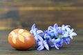 Easter egg colored with onion. Easter egg and spring flowers Royalty Free Stock Photo