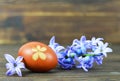 Easter egg colored with onion. Easter egg and spring flowers Royalty Free Stock Photo