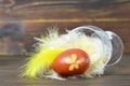 Easter egg colored with onion skin Royalty Free Stock Photo