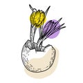 Easter egg with crocus flowers, hand drawn doodle vector. Trendy Easter design.