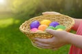 Easter Egg . Easter eggs set in a basket in children's hands on green grass background. Collecting eggs. Religious