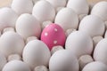 Easter egg in egg box Royalty Free Stock Photo