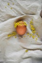 Easter egg with face and mimosa wreath lying on linen fabric