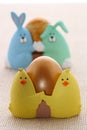 Easter egg in funny chick eggcup