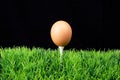 Easter egg on golf tee Royalty Free Stock Photo