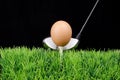 Easter egg on golf tee with golf driver Royalty Free Stock Photo