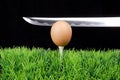 Easter egg on golf tee with sword Royalty Free Stock Photo