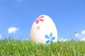 Easter egg in grass Royalty Free Stock Photo