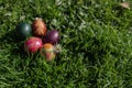 Easter egg on grass
