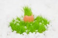 Easter egg with green grass over snow Royalty Free Stock Photo