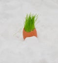Easter egg with green grass over snow Royalty Free Stock Photo