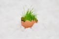 Easter egg with green grass over snow Royalty Free Stock Photo