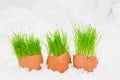 Easter egg with green grass over snow Royalty Free Stock Photo