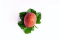Easter egg in a green leaf nest. Easter concept. Royalty Free Stock Photo