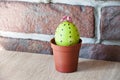 Easter egg. Green life. Flower. Happy easter holiday. natural dye. Spring seedlings. Greenhouse. Cactus blooming. Painted egg. DIY Royalty Free Stock Photo