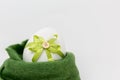 Easter egg with a green loop in a green fabric nest Royalty Free Stock Photo