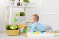 Easter egg hunt. Adorable child playing with Easter eggs at home Royalty Free Stock Photo