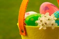 Easter egg hunt Royalty Free Stock Photo