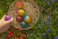 Easter Egg Hunt.Collection of colored eggs by children. Childs hand puts colorful eggs in a wicker basket in blue Royalty Free Stock Photo