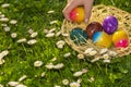 Easter Egg Hunt.Collection of colored eggs by children in a meadow with daisies.Easter holiday tradition.Child collect Royalty Free Stock Photo