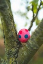 Easter egg hunt, colorful easter egg hidden in a tree in the garden, traditional game during spring time for the kids Royalty Free Stock Photo