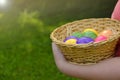 Easter Egg Hunt. Easter eggs in a basket in children's hands on green grass background. Collecting eggs. Religious