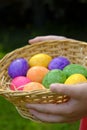 Easter Egg Hunt. Easter eggs set in a basket in children's hands on grass background. Collecting eggs. Religious holiday