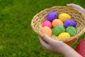 Easter Egg Hunt. Easter eggs set in a basket in children& x27;s hands on green grass background. Collecting eggs. Religious